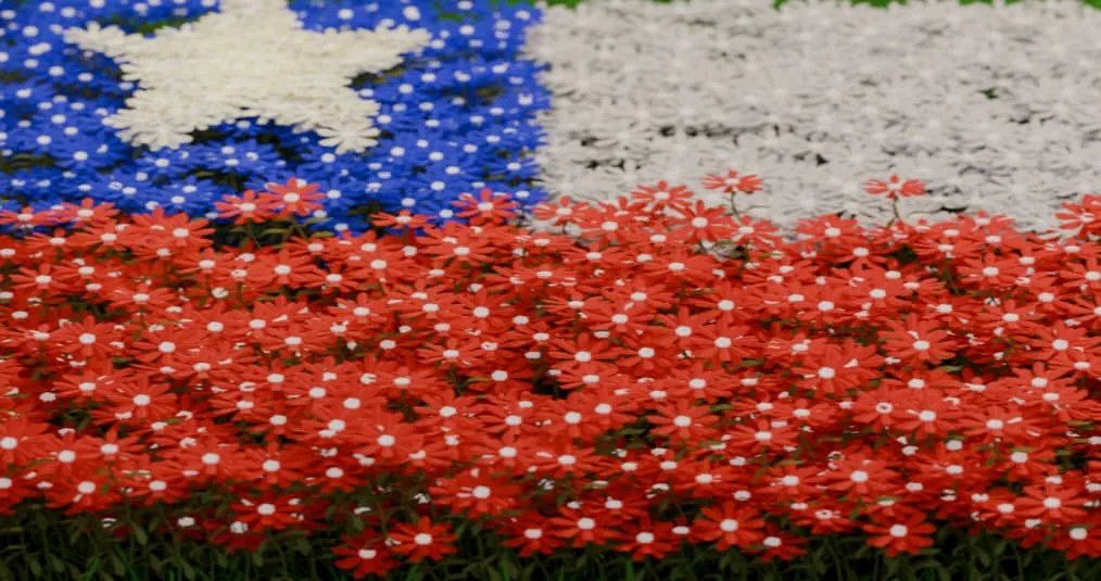 Bandera de Chile de flores